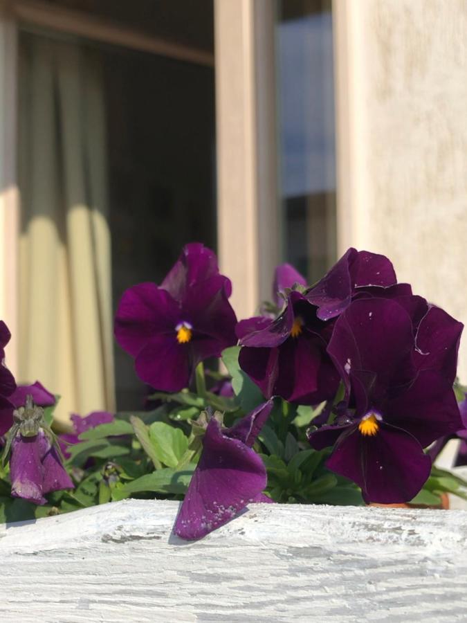 Zerostuni Suite Apartment מראה חיצוני תמונה